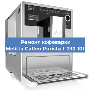 Чистка кофемашины Melitta Caffeo Purista F 230-101 от накипи в Новосибирске